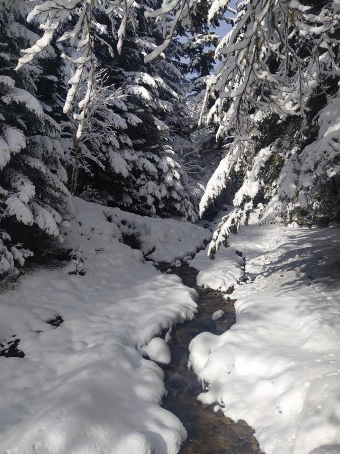 Studio 4 Personnes Au Pied Des Piste Plateau De Bonascre - Ax 3 Domaines Ete Hiver Ax-les-Thermes Dış mekan fotoğraf