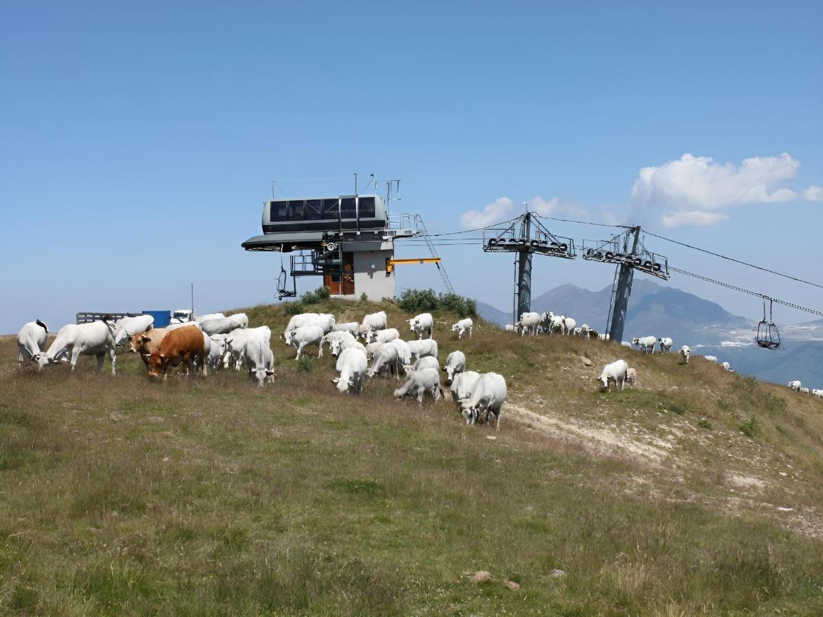 Studio 4 Personnes Au Pied Des Piste Plateau De Bonascre - Ax 3 Domaines Ete Hiver Ax-les-Thermes Dış mekan fotoğraf