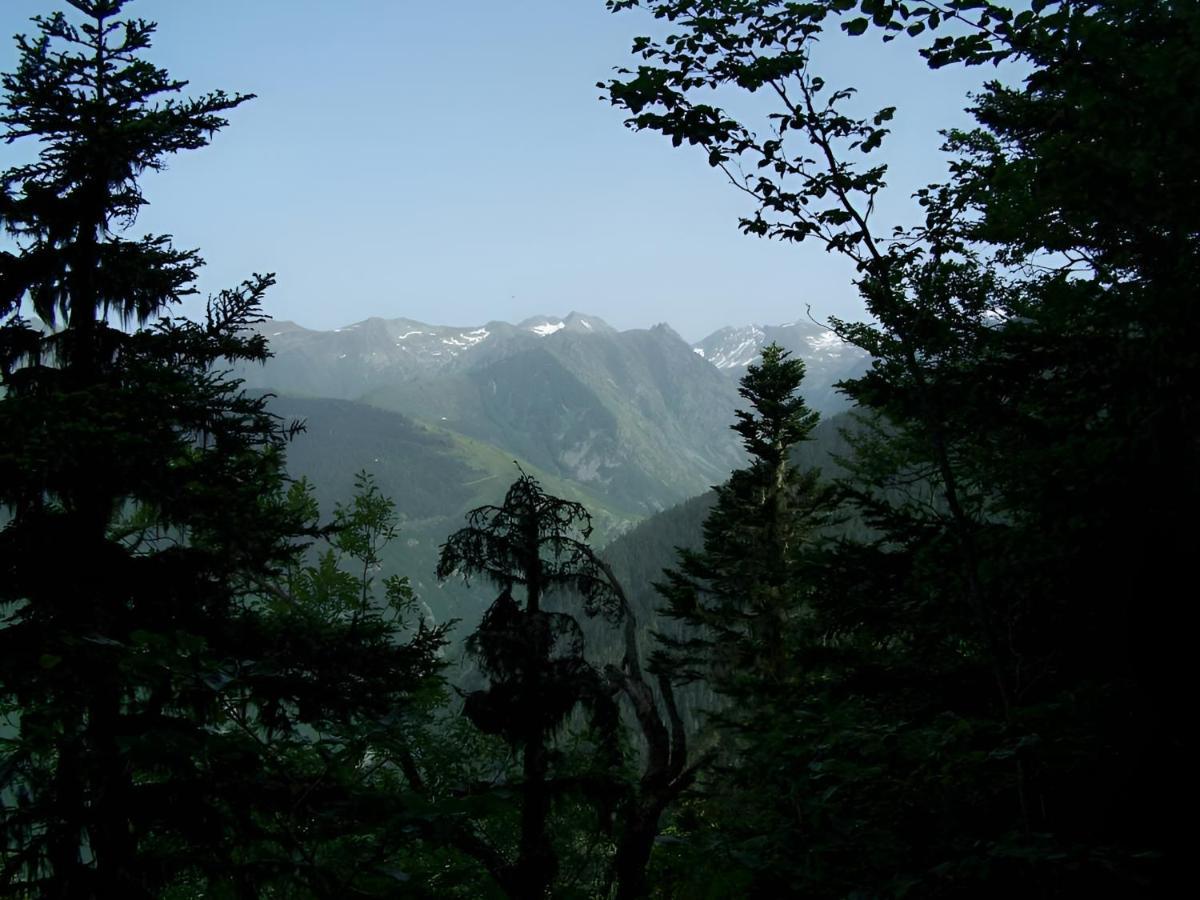 Studio 4 Personnes Au Pied Des Piste Plateau De Bonascre - Ax 3 Domaines Ete Hiver Ax-les-Thermes Dış mekan fotoğraf