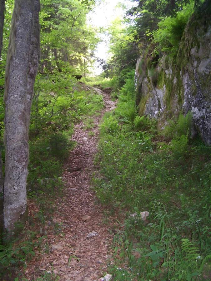 Studio 4 Personnes Au Pied Des Piste Plateau De Bonascre - Ax 3 Domaines Ete Hiver Ax-les-Thermes Dış mekan fotoğraf